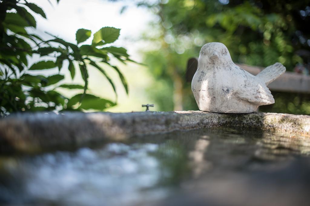 Ferienwohnungen Sumperer Pill Buitenkant foto